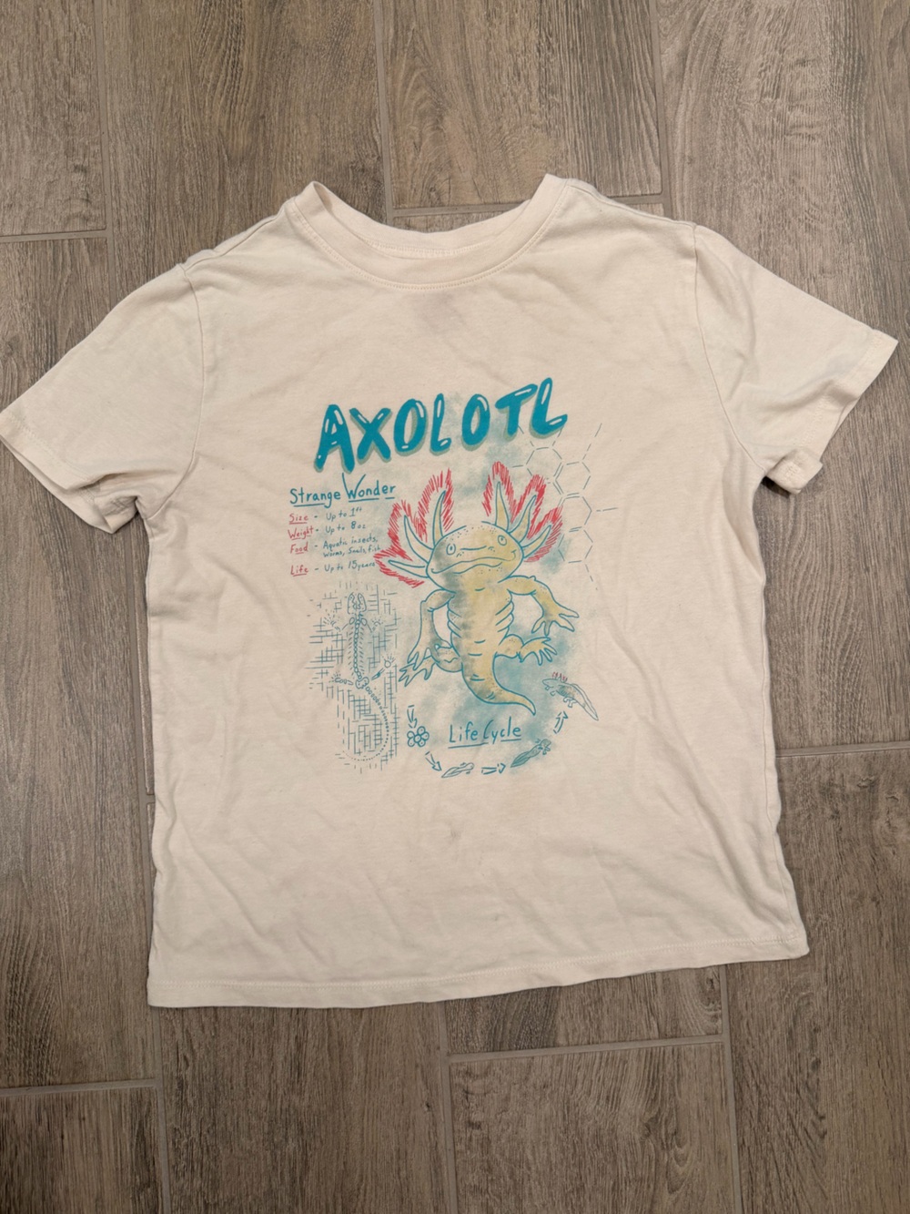 Cat & Jack Cream Tee with Teal and Coral Print